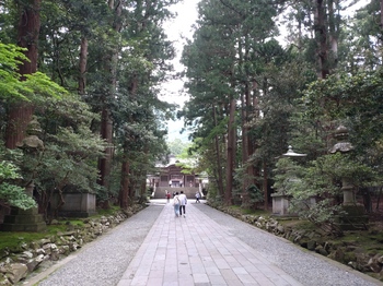 20250524_001.JPG