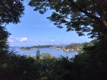 20250620_002.JPG