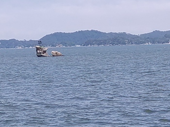 20250620_003.JPG