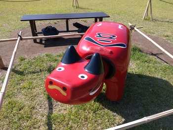 20260612_004.JPG